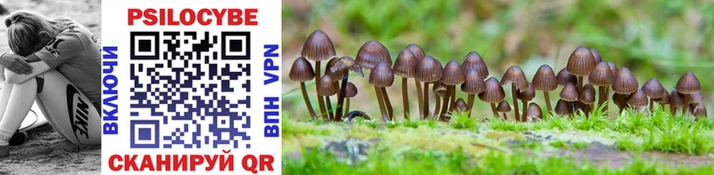 Галлюциногенные грибы MAGIC MUSHROOMS Вилюйск