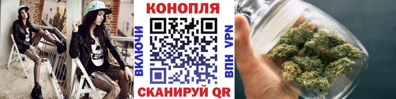 Бошки Шишки семена Вилюйск